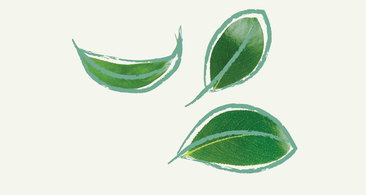 1920X1080 Hreyfing 12