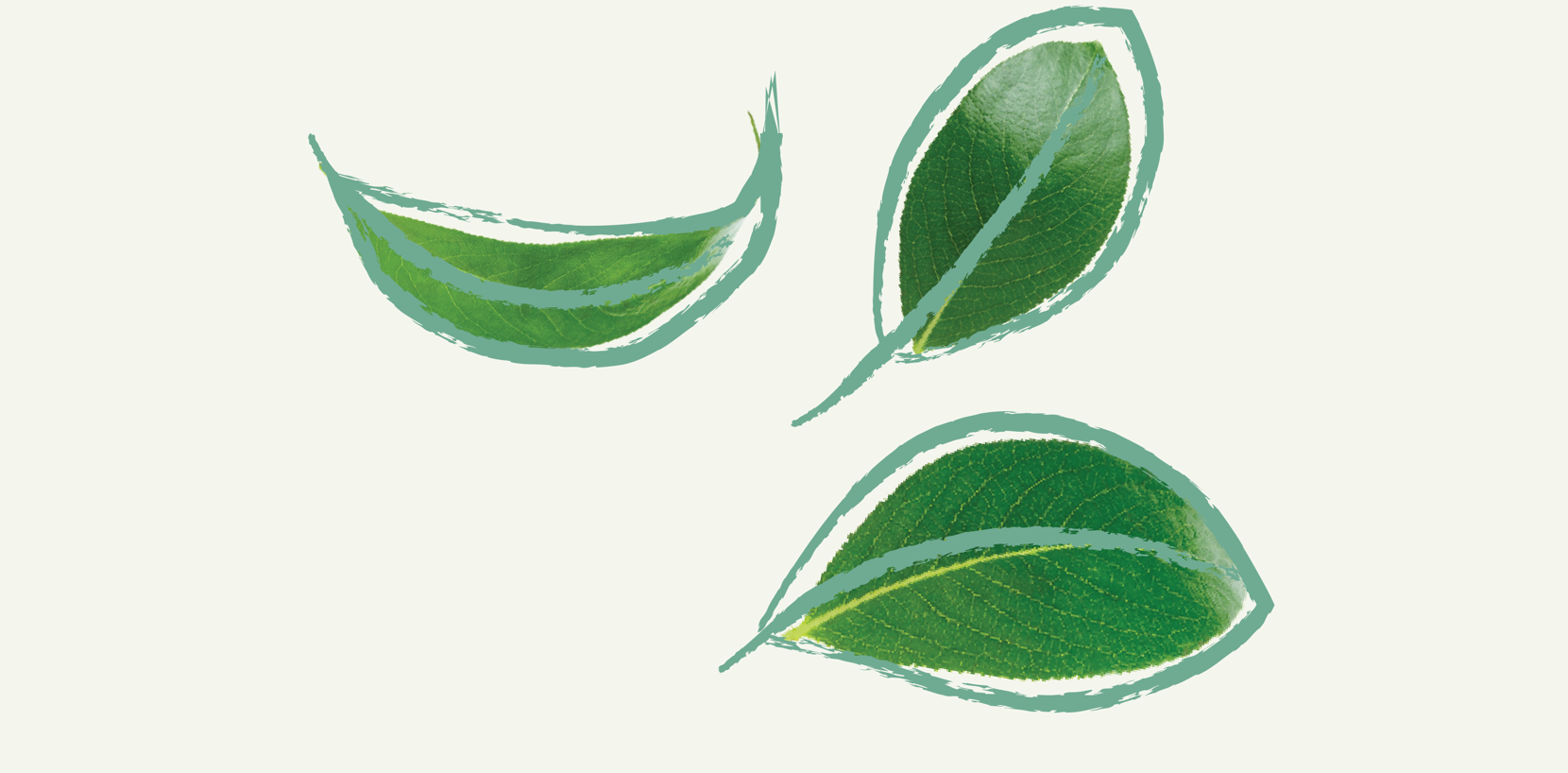 1920X1080 Hreyfing 12