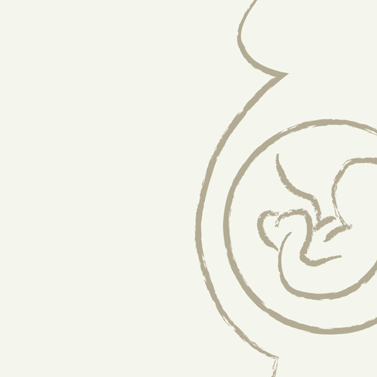 Oletta Fostur 1920X1080 29