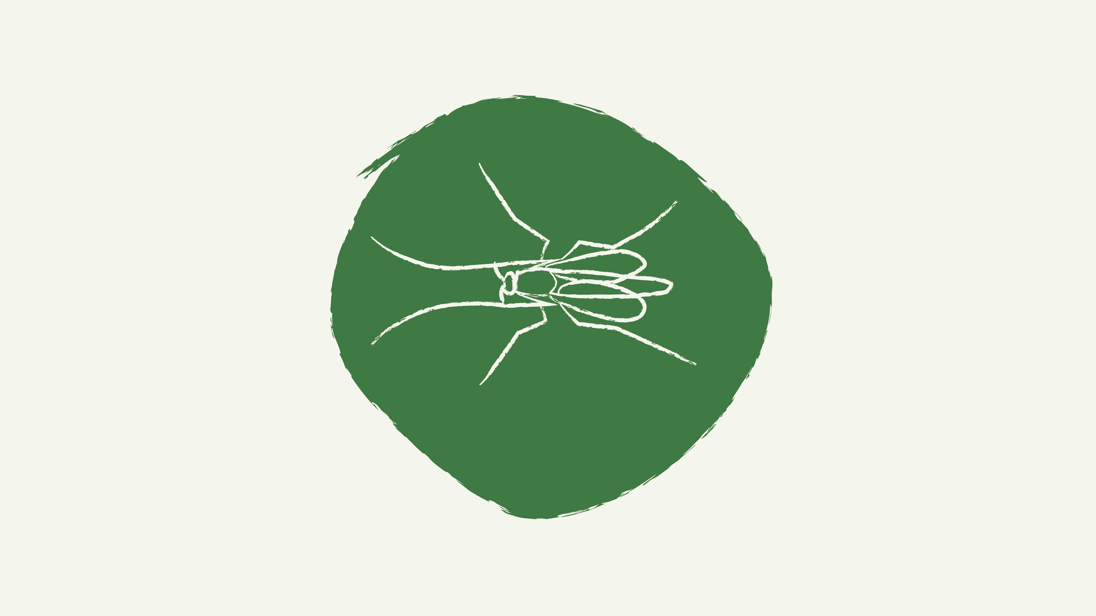 Teikningar 1920X1080 40