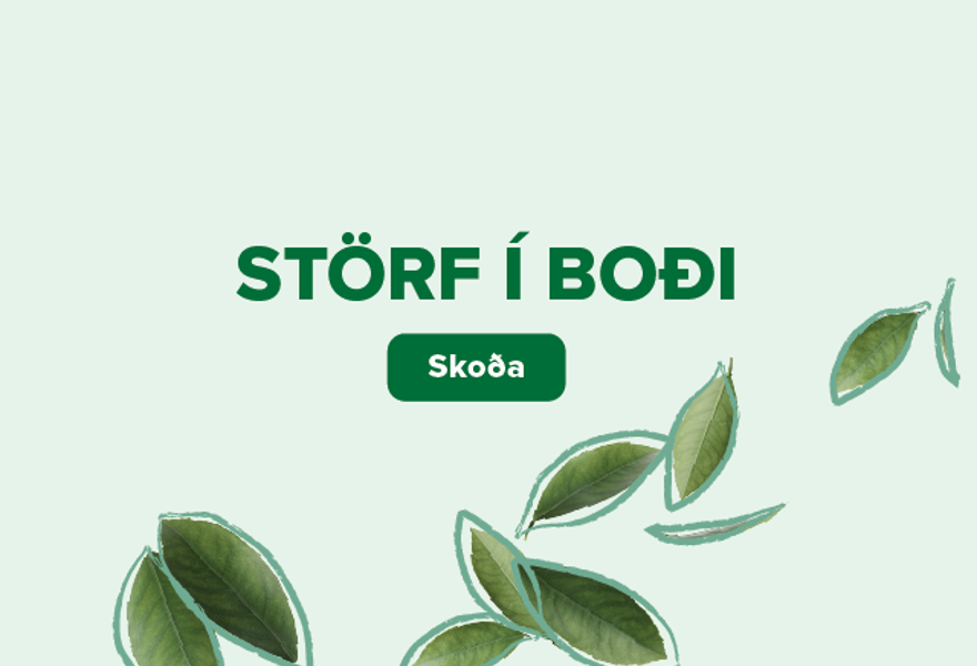 Storf Ibodi