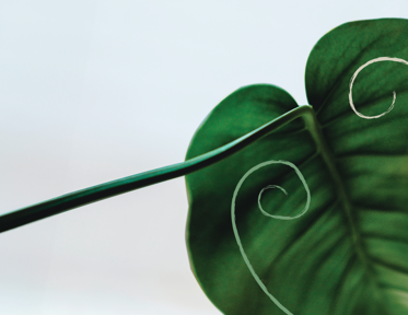 Lyfja hf. fékk Jafnlaunavottun Velferðarráðuneytisins