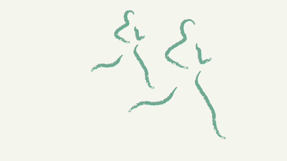 Myndir Lyfja.Is 1920X1080 Hreyfing 13 (1)