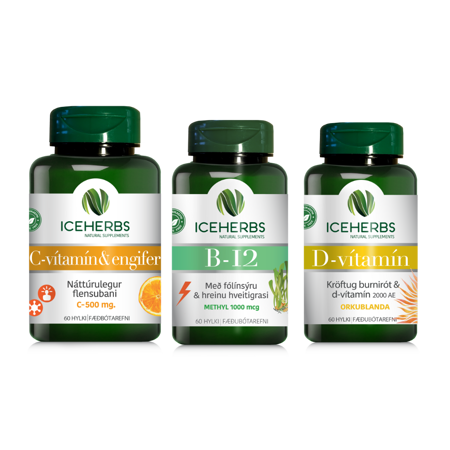 Daglegi Pakkinn Transparent 1