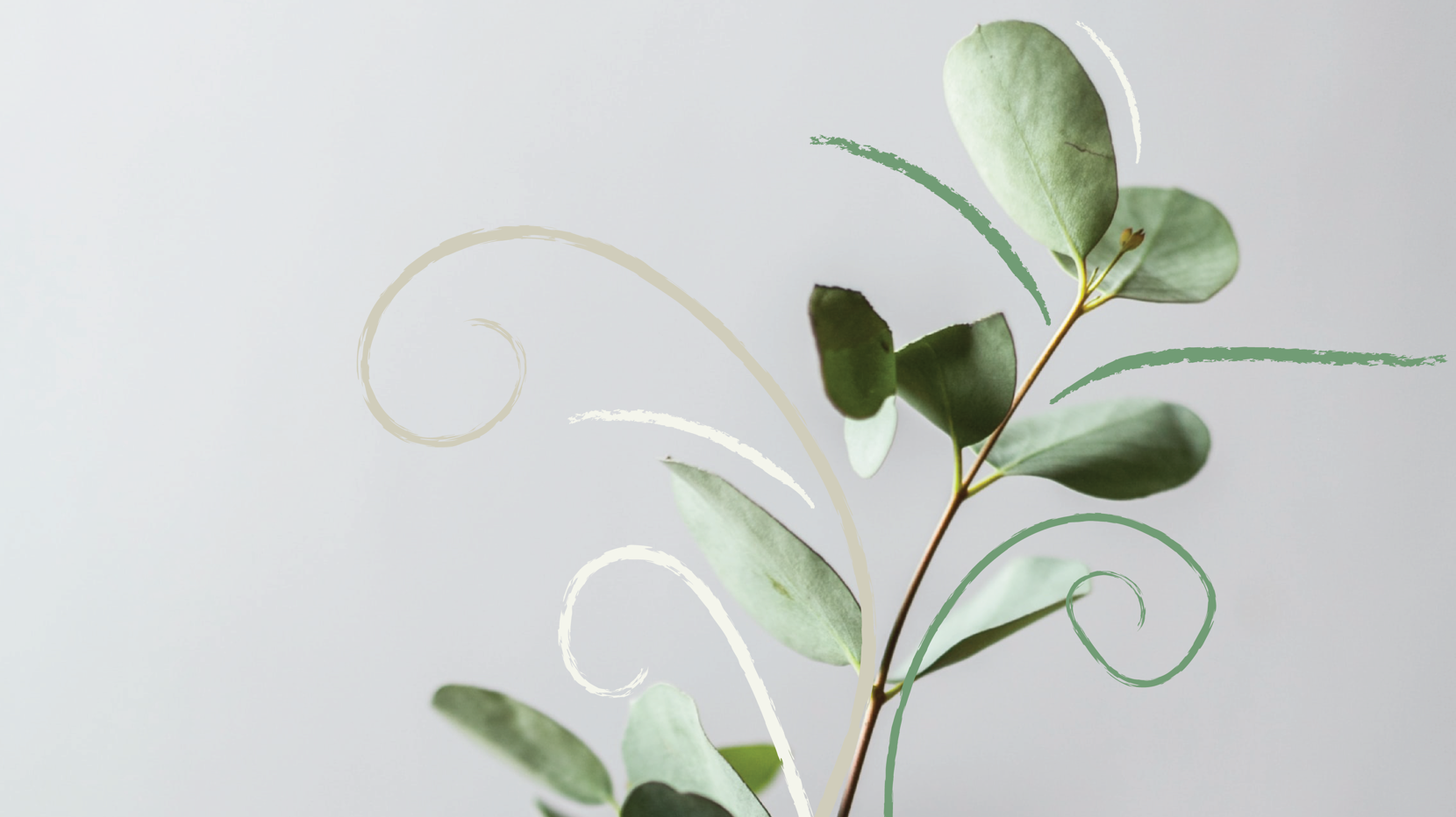 1920X1080 Planta Strokur