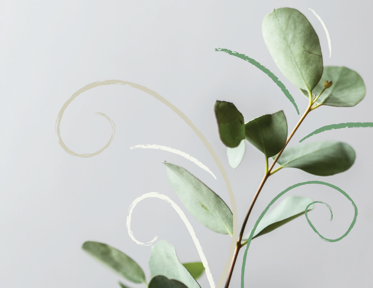 Lyfja er framúrskarandi fyrirtæki 2023